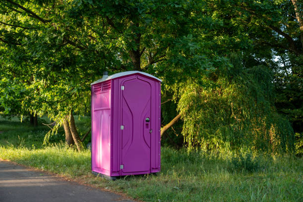 Best Handicap porta potty rental  in Luck, WI